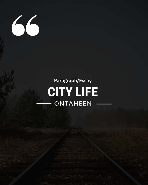 Next post image