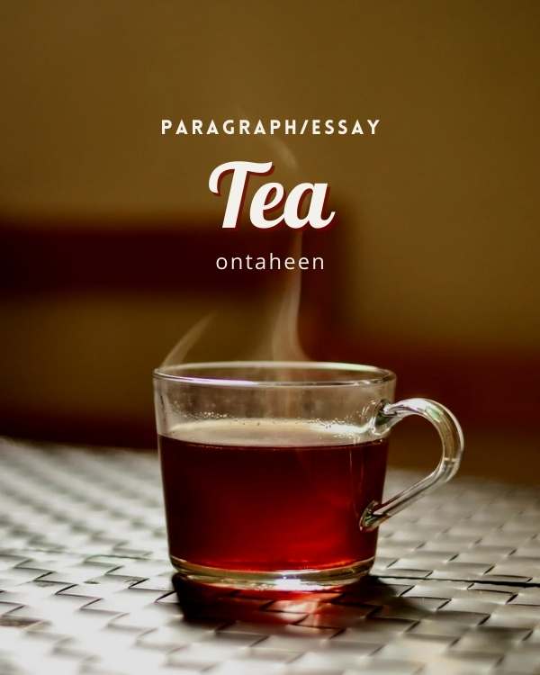 Essay On Tea - For class 5,6,7,8,9,10
