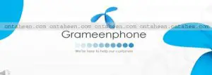 Grameen Phone all internet packages