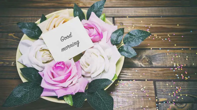 Good Morning Flowers Beautiful Greeting Pictures