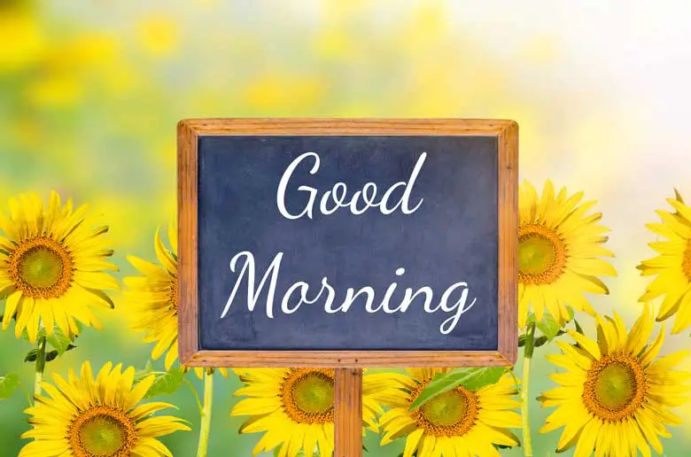 Good Morning Flowers Pictures and Graphics