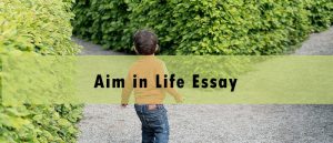 aim in life essay example