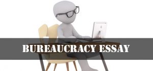 Bureaucracy Essay