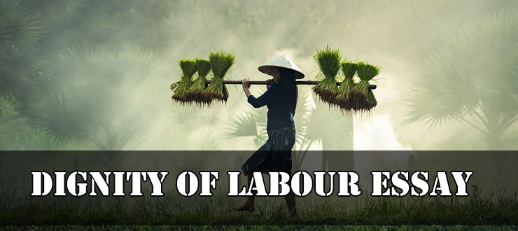 Dignity Of Labour Essay