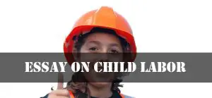 Essay On Child Labor
