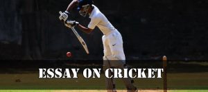 Essay On Cricket