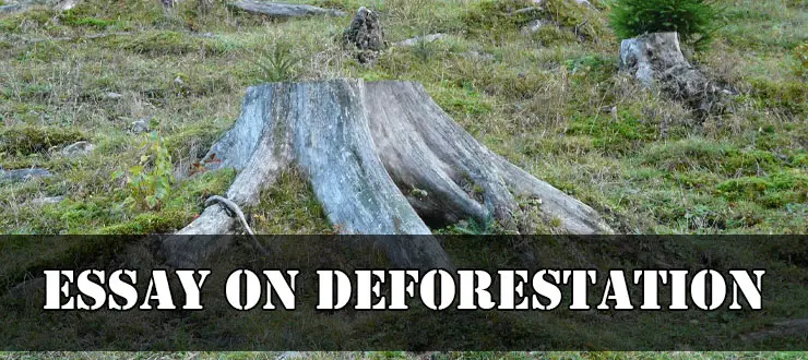 Long and Short Essay on Deforestation and its effects