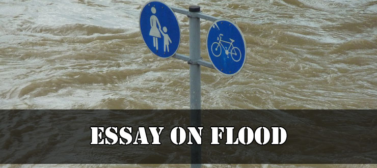 Essay On Flood