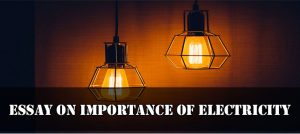 Essay On Importance Of Electricity