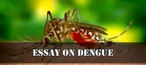 Essay on Dengue