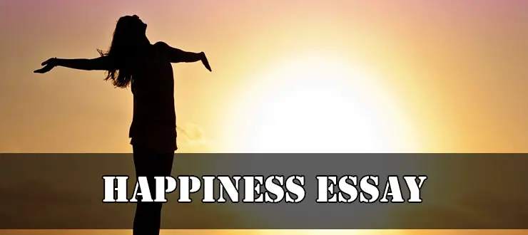 Essays on happiness