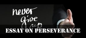 student essay on perseverance