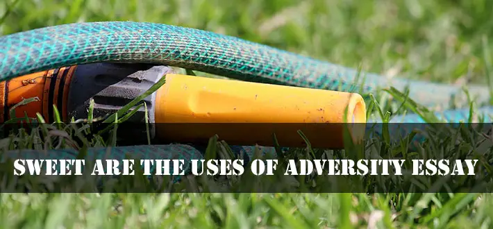 Sweet Are The Uses Of Adversity Essay
