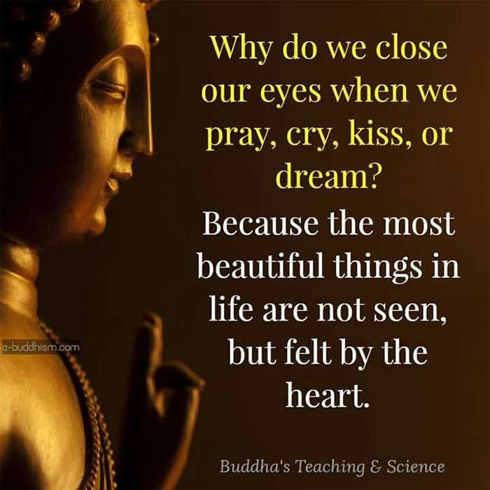 beautiful buddha pictures with quotes