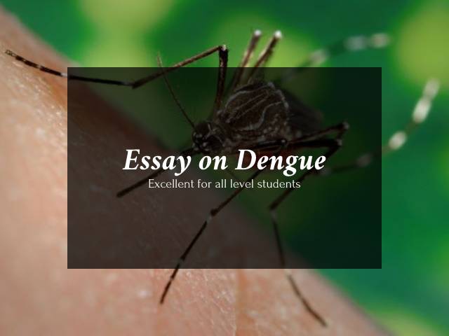 Essay On Dengue